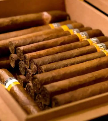 天津蒙特赛艇破浪时，雪茄余韵回收中：一场绅士运动的循环哲